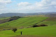 Italy, Toscana Landscape in January