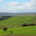 Italy, Toscana Landscape in January