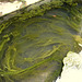 Mon bain d'algues pour remise en forme