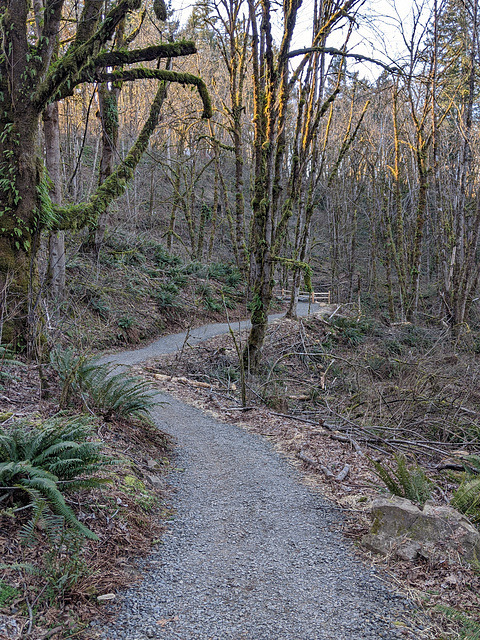 The Path Home