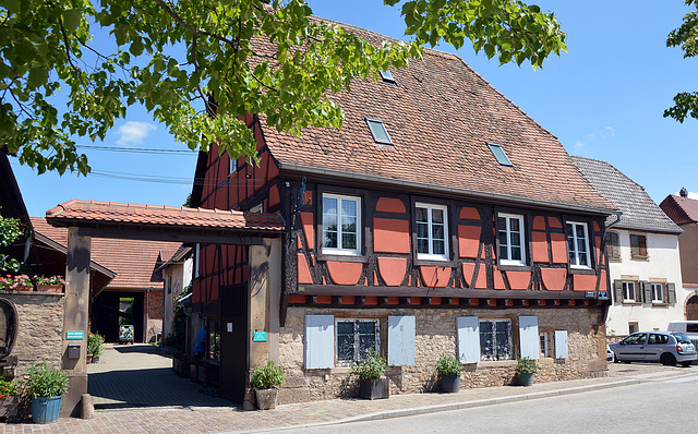 Fachwerkhaus in Molsheim