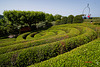 Jardins d'Etretat.