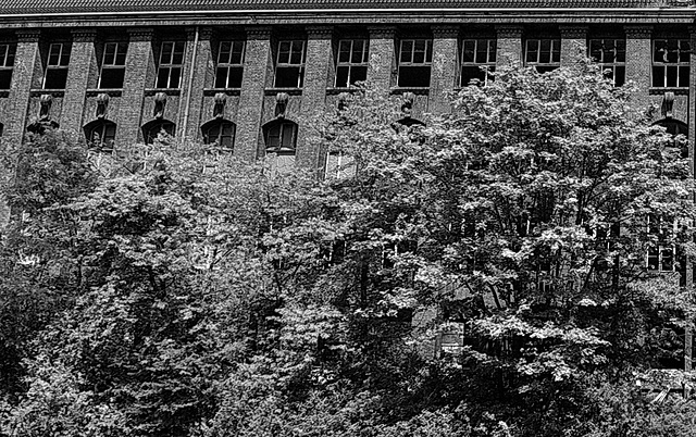 soistdiewelt-8