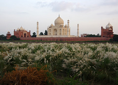 View of the Taj Mahal from across the river