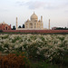 View of the Taj Mahal from across the river