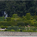 Les jardins de Marquessac