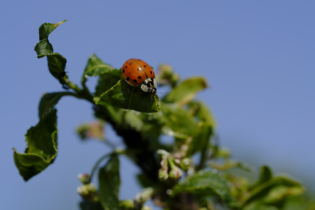 Frühling