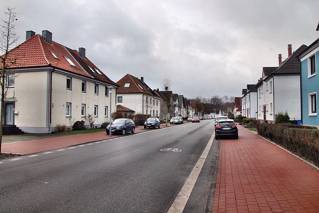 Beethovenstraße (Siedlung Zweckel, Gladbeck-Zweckel) / 24.12.2022