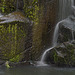 Water Falls Banner