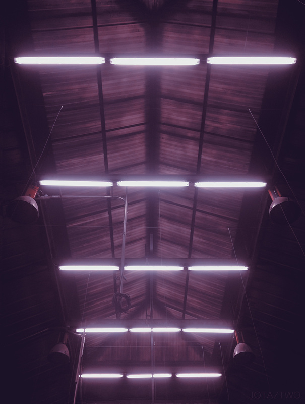 luz artificial