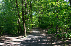 Darmstadt Cambrai Fritsch Kaserne (#0182)