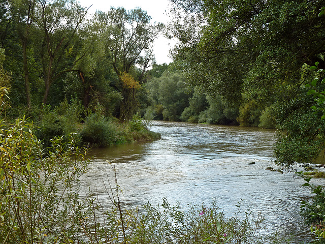 Die Nahe im natürlichen Flussbett