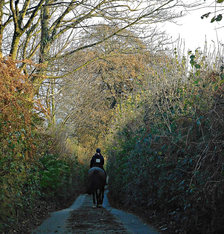 Cornish lane