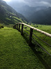 fence in the green