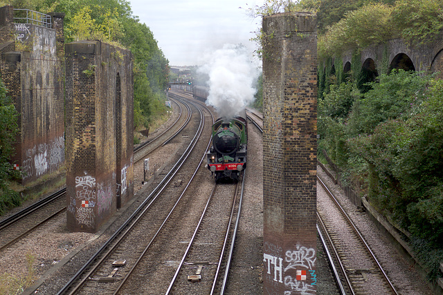 The Royal Windsor Steam Express