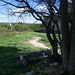 banc à Montmajour