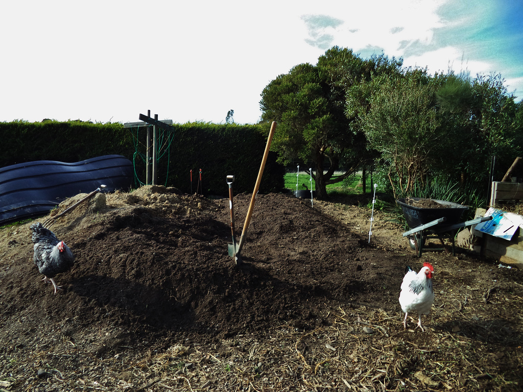 the mountain of soil moves at last