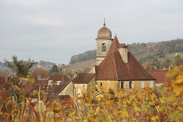 Arbois (39) 15 novembre 2016