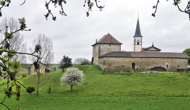 Sérezin-de-la-Tour (38) 19 avril 2013.