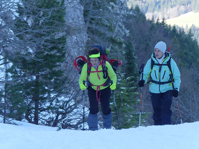 20180113 Raquettes Vercors Moucherotte (25) al