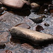 A Dipper