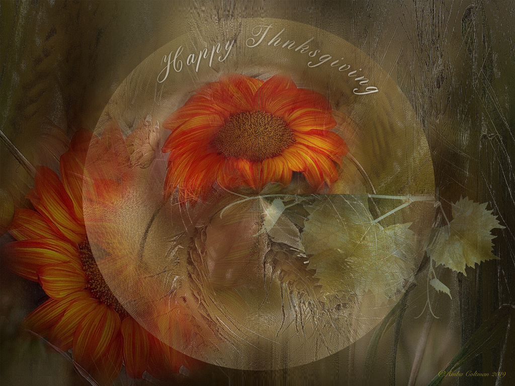 Happy Thanksgiving