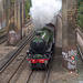 The Royal Windsor Steam Express