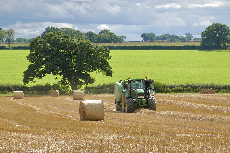 Baling time