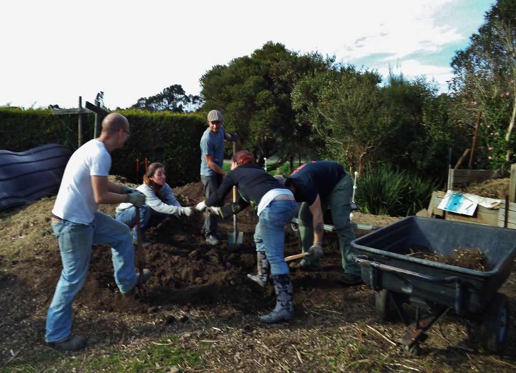 the mountain of soil moves at last