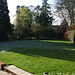 Fulbourn garden 2011-03-14 006