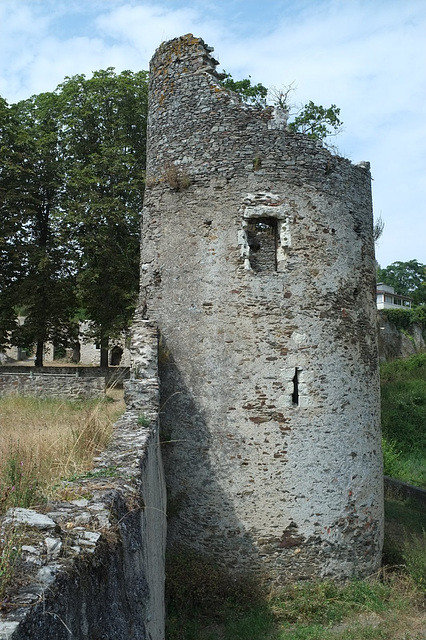 Château de la Turmelière