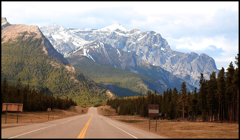 David Thompson Highway, Alberta