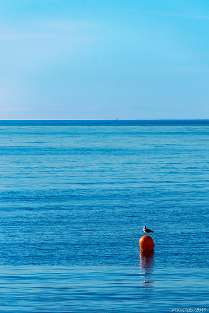 morgens am Strand von Malaga (© Buelipix)