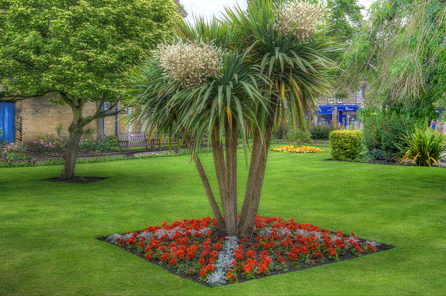 Bath Gardens. Bakewell   /   July 2021