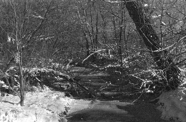 stream in crane hollow