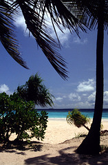 Desert Island Dream, Angaga, Maldives