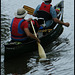 canoeing collie
