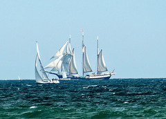 Segelschiffe auf der Schlei-Ostsee