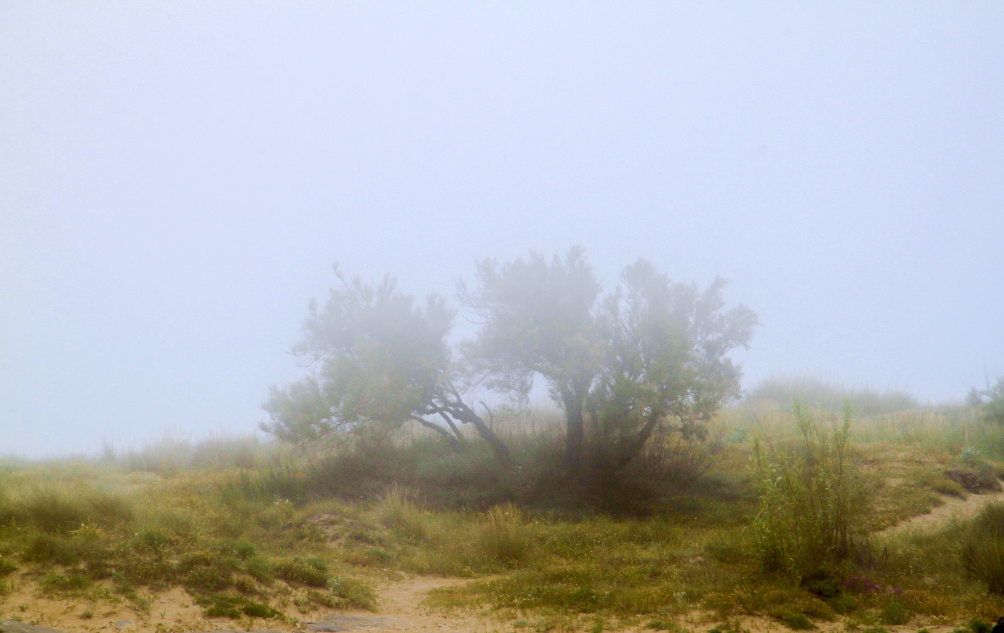 You don't need a weatherman to know which way the wind blows