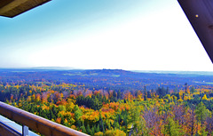 Aussicht vom Altenbergturm über Schwäbisch-Fränkis