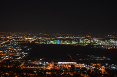 Night View of Haifa