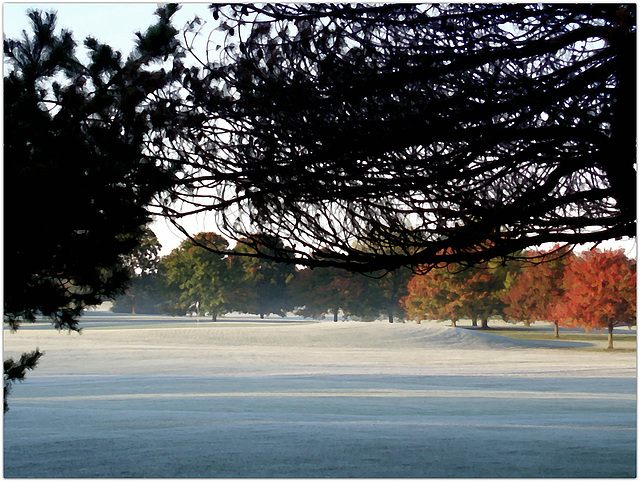 Ground frost on a sunny Fall morning