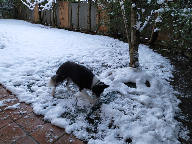 Bilma en la nieve.