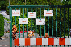 Ein Zaun mit Kuscheltieren - A fence with cuddly toys