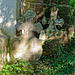 Remains of Tennenbach Abbey  30