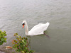 IMG 3876