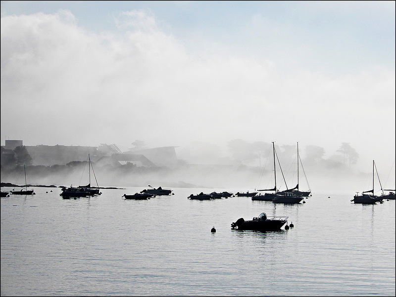 on nage dans le brouillard et c'est beau