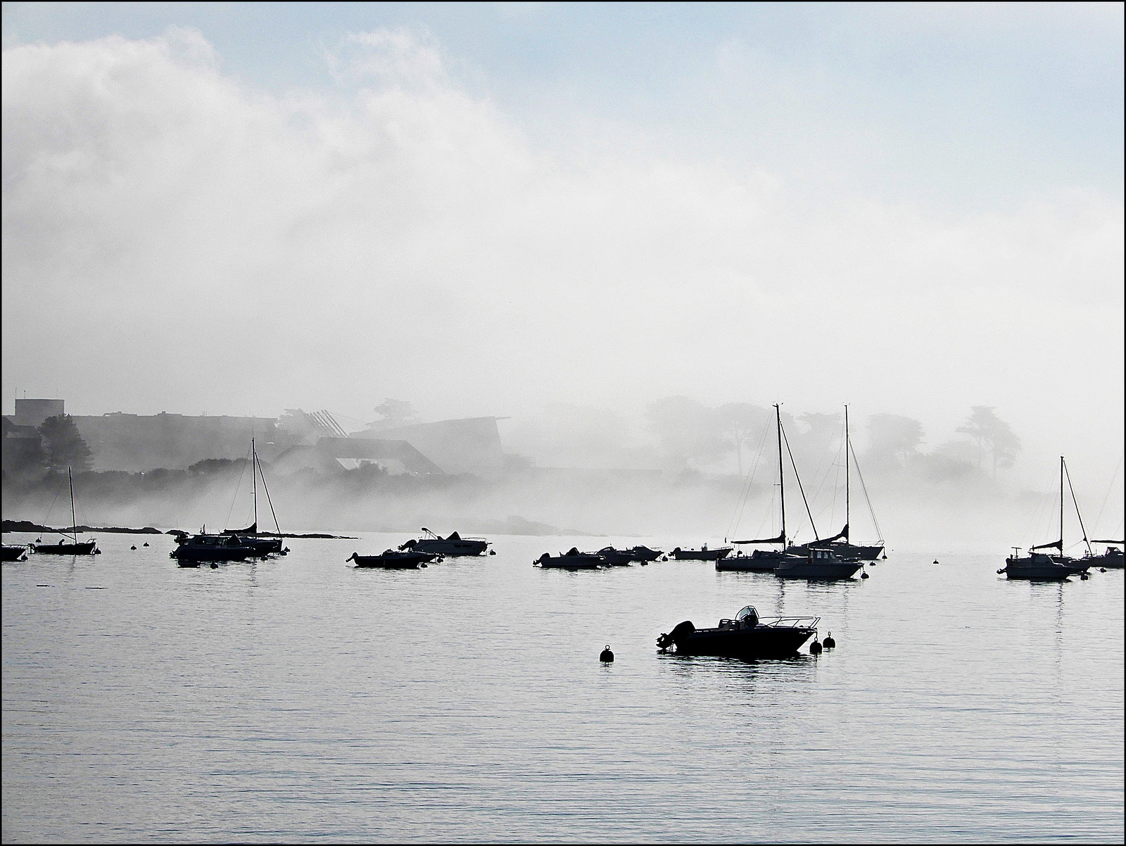on nage dans le brouillard et c'est beau