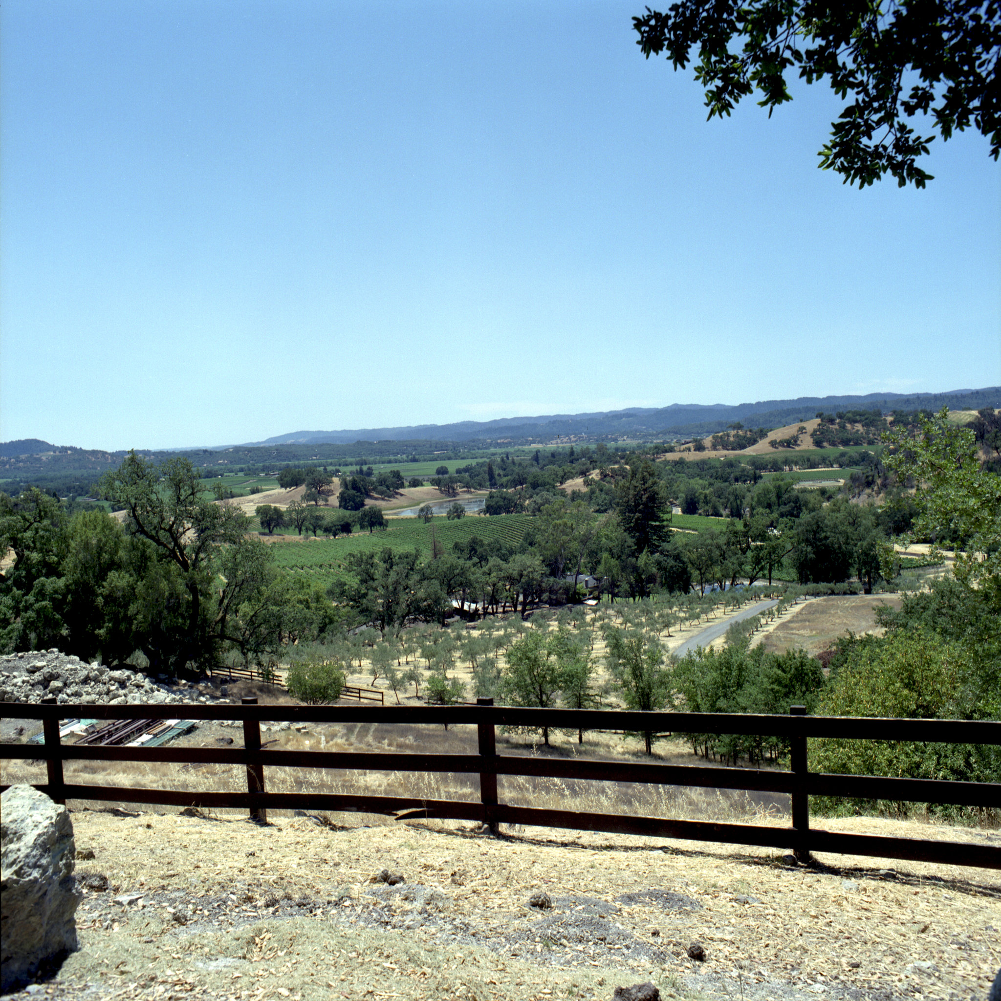 Alexander Valley