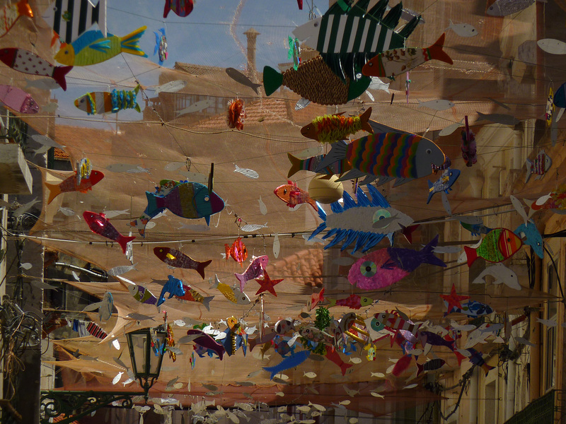 Fish in the Sky